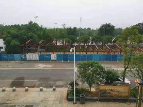 岳阳最新爆料,揭秘神秘事件背后的真相