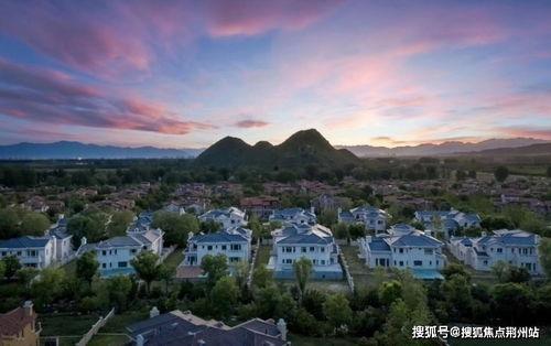 官方爆料新植物剪影视频,神秘新植物即将亮相! 第3张 官方爆料新植物剪影视频,神秘新植物即将亮相! 第3张